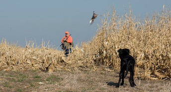Hunter and lab photo block